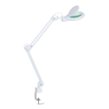 Лампа-лупа на струбцине увеличение 5D диаметр линзы 127мм LED с регулировкой яркости