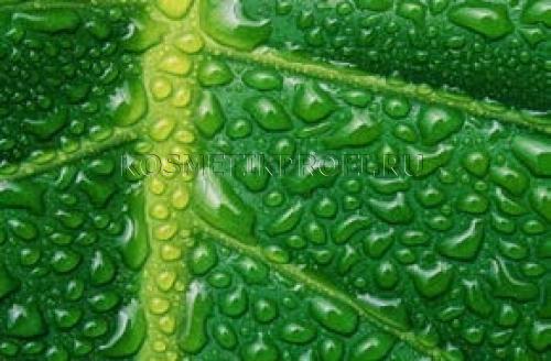 Альгинатная лифтинг-маска с хлорофиллом Igrobeauty 350 гр
