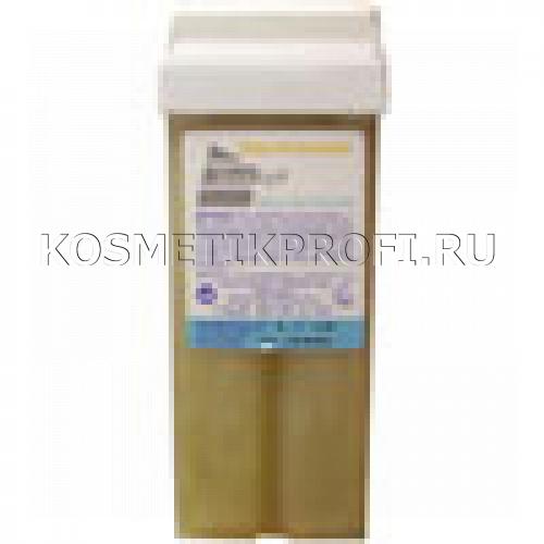 100 стандарт ЖЕМЧУГ ворд эпил