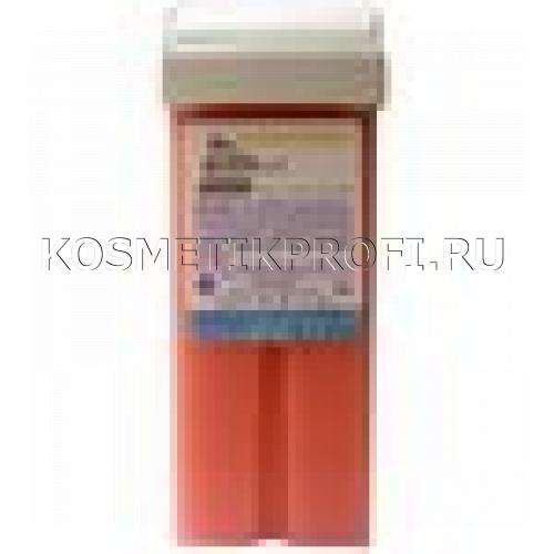 100 стандарт РОЗА ворд эпил